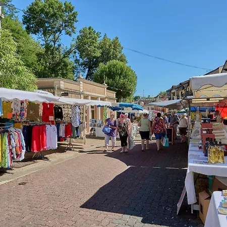 T2 Renove A Barbotan, Animaux Admis, Parking Et Wifi Gratuits - Fr-1-841-13 *
