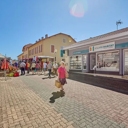 T2 Renove A Barbotan, Animaux Admis, Parking Et Wifi Gratuits - Fr-1-841-13 Apartment *